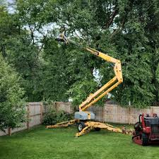 Best Tree Mulching  in Statesboro, GA