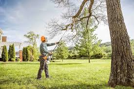Best Lawn Irrigation Installation and Maintenance  in Statesboro, GA