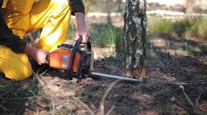 Best Lawn Grading and Leveling  in Statesboro, GA