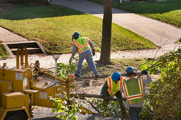 Best Landscape Design and Installation  in Statesboro, GA