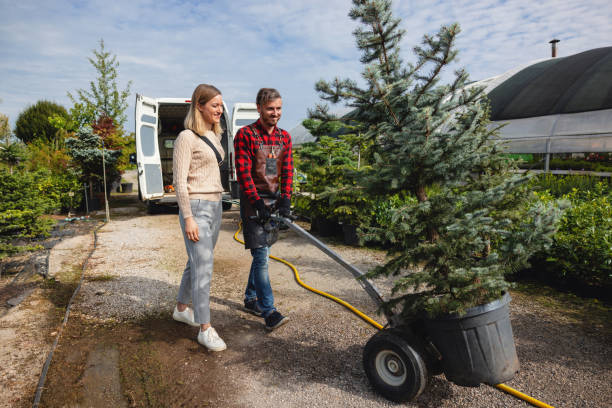 Best Tree Removal  in Statesboro, GA