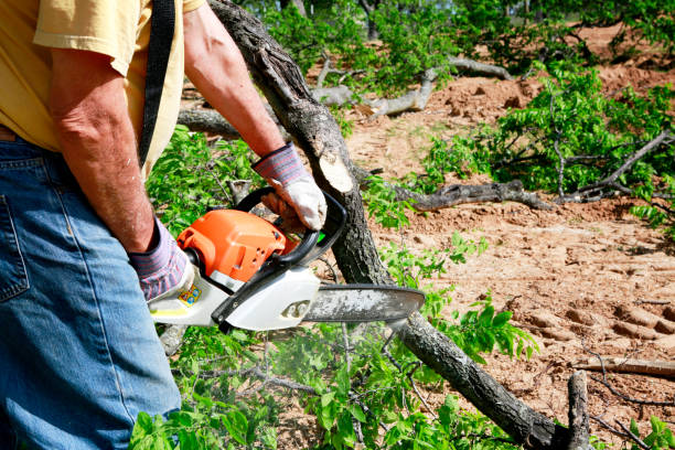 Best Soil Testing and Treatment  in Statesboro, GA